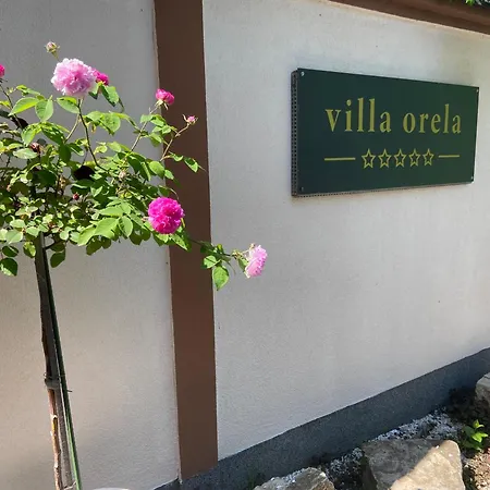 Apartment Orela *