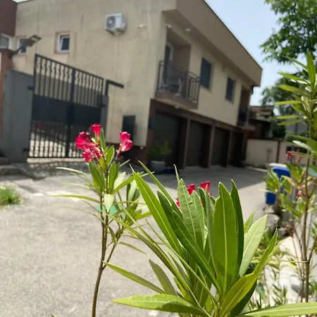 Orela * زينيتشا